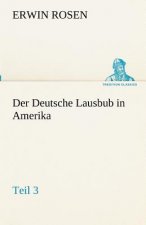 Deutsche Lausbub in Amerika - Teil 3