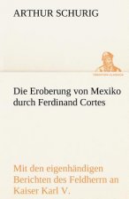 Eroberung Von Mexiko Durch Ferdinand Cortes