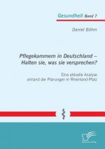 Pflegekammern in Deutschland - Halten sie, was sie versprechen? Eine aktuelle Analyse anhand der Planungen in Rheinland-Pfalz