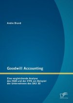 Goodwill Accounting