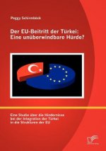 EU-Beitritt der Turkei