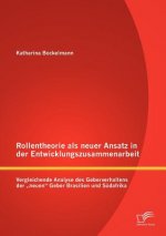 Rollentheorie als neuer Ansatz in der Entwicklungszusammenarbeit