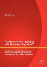 Bamboo Policy - bending with the prevailing wind? Eine konstruktivistische Analyse des Wandels thailandischer Aussenpolitik im Kontext der AEra Thaksi