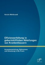 Effizienzerhoehung in geburtshilflichen Abteilungen von Krankenhausern