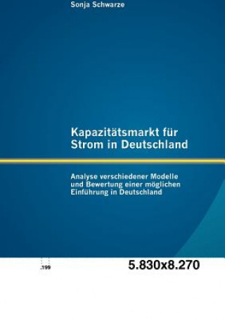 Kapazitatsmarkt fur Strom in Deutschland