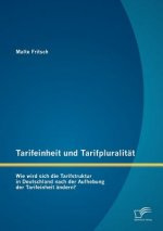 Tarifeinheit und Tarifpluralitat