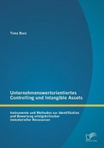 Unternehmenswertorientiertes Controlling und Intangible Assets