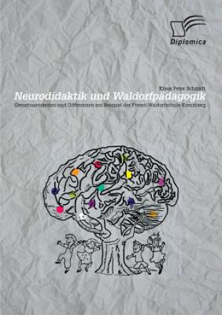 Neurodidaktik und Waldorfpadagogik