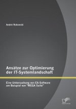 Ansatze zur Optimierung der IT-Systemlandschaft