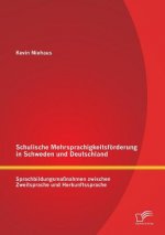 Schulische Mehrsprachigkeitsfoerderung in Schweden und Deutschland