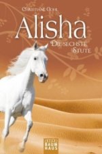 Alisha, die sechste Stute