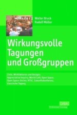 Wirkungsvolle Tagungen und Großgruppen