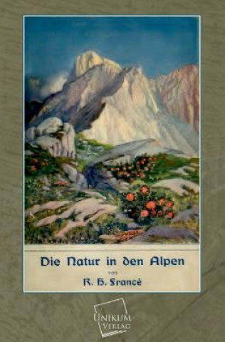 Natur in Den Alpen