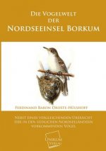 Vogelwelt Der Nordseeinsel Borkum