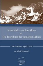 Naturbilder Aus Den Alpen