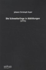 Die Schmetterlinge in Abbildungen