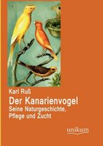 Kanarienvogel