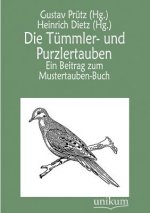 Tummler- und Purzlertauben