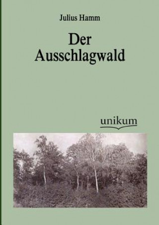 Ausschlagwald