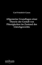 Allgemeine Grundlagen einer Theorie der Gestalt von Flussigkeiten im Zustand des Gleichgewichts