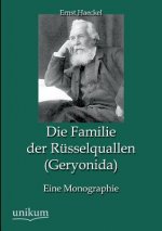 Familie der Russelquallen (Geryonida)