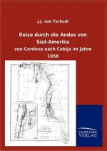 Reise durch die Andes von Sud-Amerika