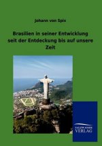 Brasilien in seiner Entwicklung seit der Entdeckung bis auf unsere Zeit