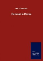 Mornings in Mexico