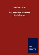 Der moderne deutsche Sozialismus