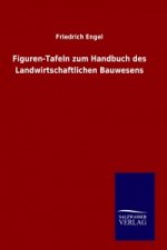 Entwicklungstheorie (Darwins Lehre)