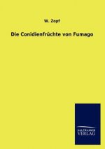 Conidienfruchte von Fumago