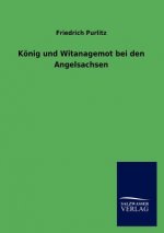 Koenig und Witanagemot bei den Angelsachsen