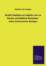 Briefe Goethes an Sophie Von La Roche Und Bettina Brentano