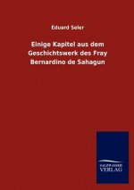 Einige Kapitel aus dem Geschichtswerk des Fray Bernardino de Sahagun