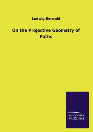 On the Projective Geometry of Paths