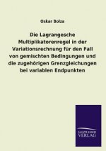 Lagrangesche Multiplikatorenregel in Der Variationsrechnung Fur Den Fall Von Gemischten Bedingungen Und Die Zugehorigen Grenzgleichungen Bei Varia