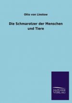 Schmarotzer Der Menschen Und Tiere