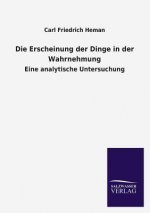 Erscheinung Der Dinge in Der Wahrnehmung