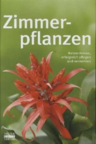 Zimmerpflanzen