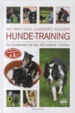 Hunde-Training