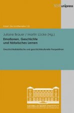 Emotionen, Geschichte und historisches Lernen