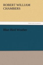 Blue-Bird Weather