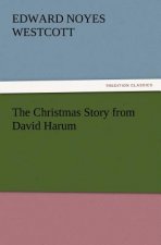 Christmas Story from David Harum
