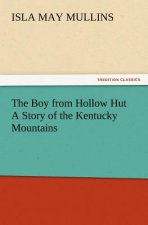 Boy from Hollow Hut A Story of the Kentucky Mountains