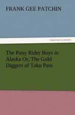 Pony Rider Boys in Alaska Or, the Gold Diggers of Taku Pass