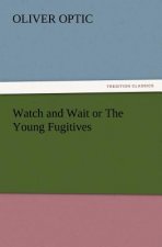 Watch and Wait or the Young Fugitives
