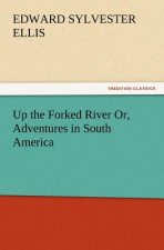 Up the Forked River Or, Adventures in South America
