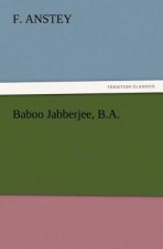 Baboo Jabberjee, B.A.