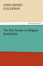 Boy Scouts on Belgian Battlefields