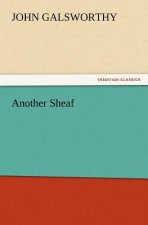 Another Sheaf